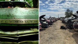 Pick-A-Part Lot Buys Plymouth Arrow. Then People Get Furious About It: ‘I Had The Dodge D-50 With This Grill’