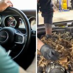Man’s Car Refuses To Start. Then The Mechanic Opens The Hood: ‘Turns Out It Was Occupied’
