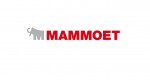 Mammoet skidding system used to replace 10,000-ton bridge in under 24 hours