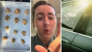 Man Has To Work A 12-Hour Shift On A 101-Degree Day. Before He Clocks In, He Puts Raw Cookies On A Baking Sheet In His Car