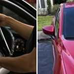 Florida Man Gets Windows Tinted. Then He Notices Something Strange An Hour Later: ‘It’s Illegal’